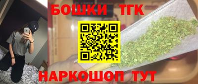 бошки Гагарин