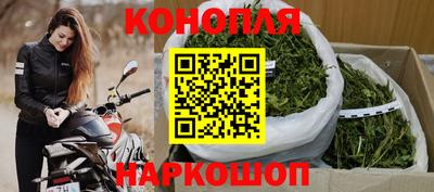 бошки Гагарин
