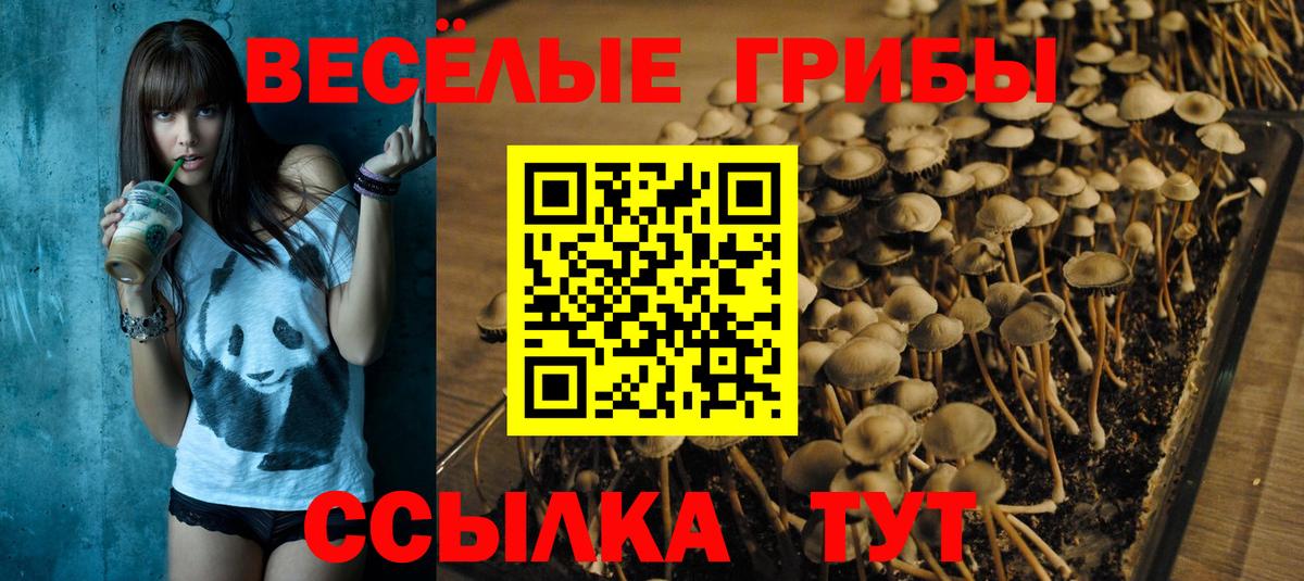 Псилоцибиновые грибы MAGIC MUSHROOMS Обнинск