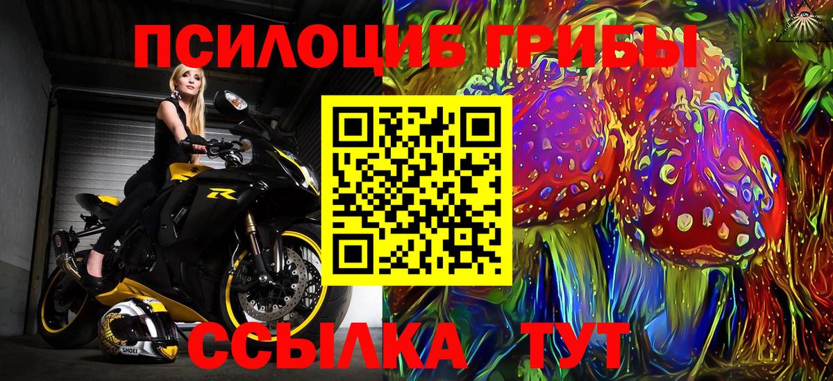Псилоцибиновые грибы мухоморы  Вход с VPN  закладка  Обнинск 